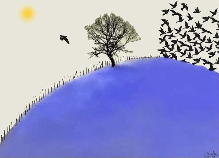 Animal Migration #10