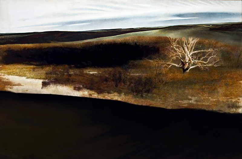 Landscape shades of the afternoon #4