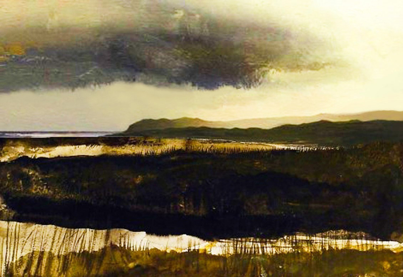 Landscaping in the shade #8