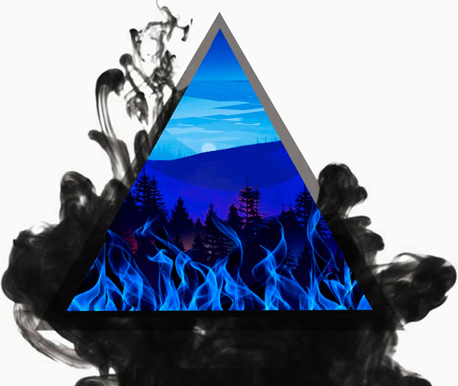 Amazon Rainforest Has Been Burning #121