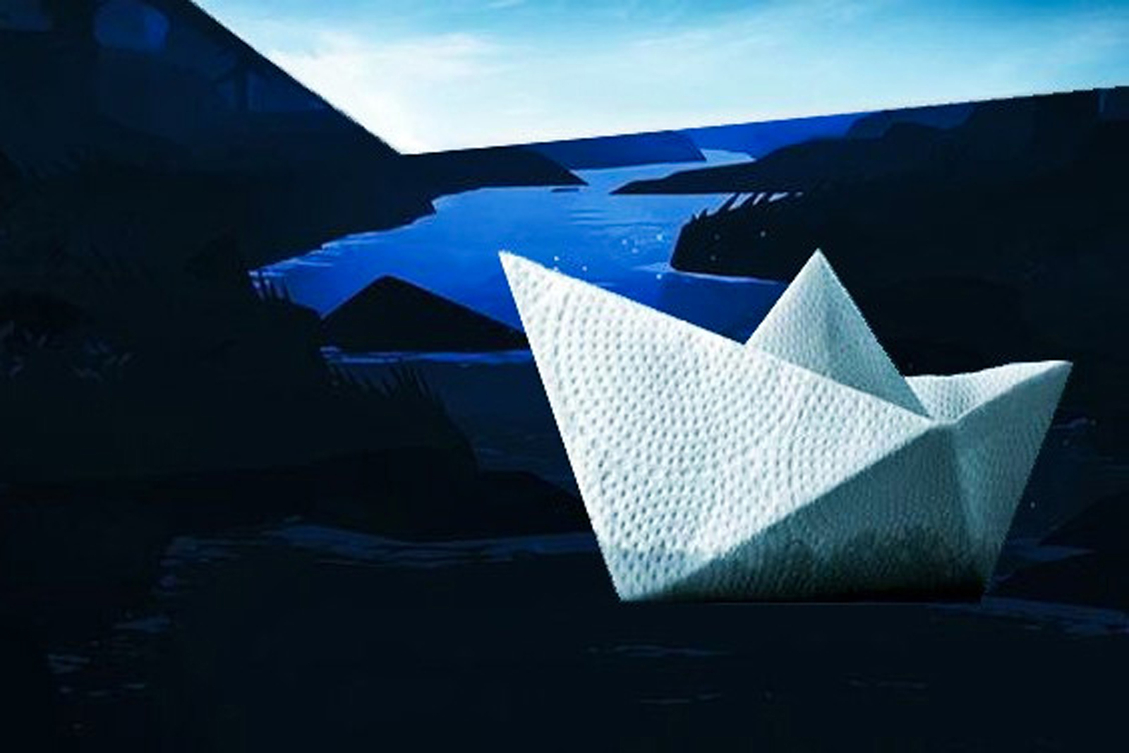 Paper towels and landscape #145