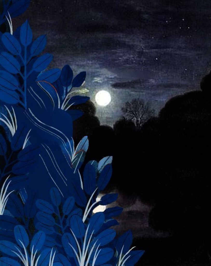 Moonlight Flower #143