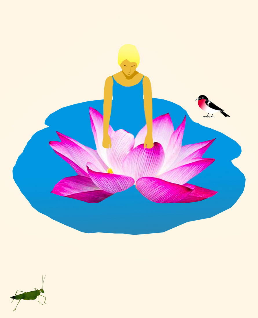 Spring Waterlilies #169