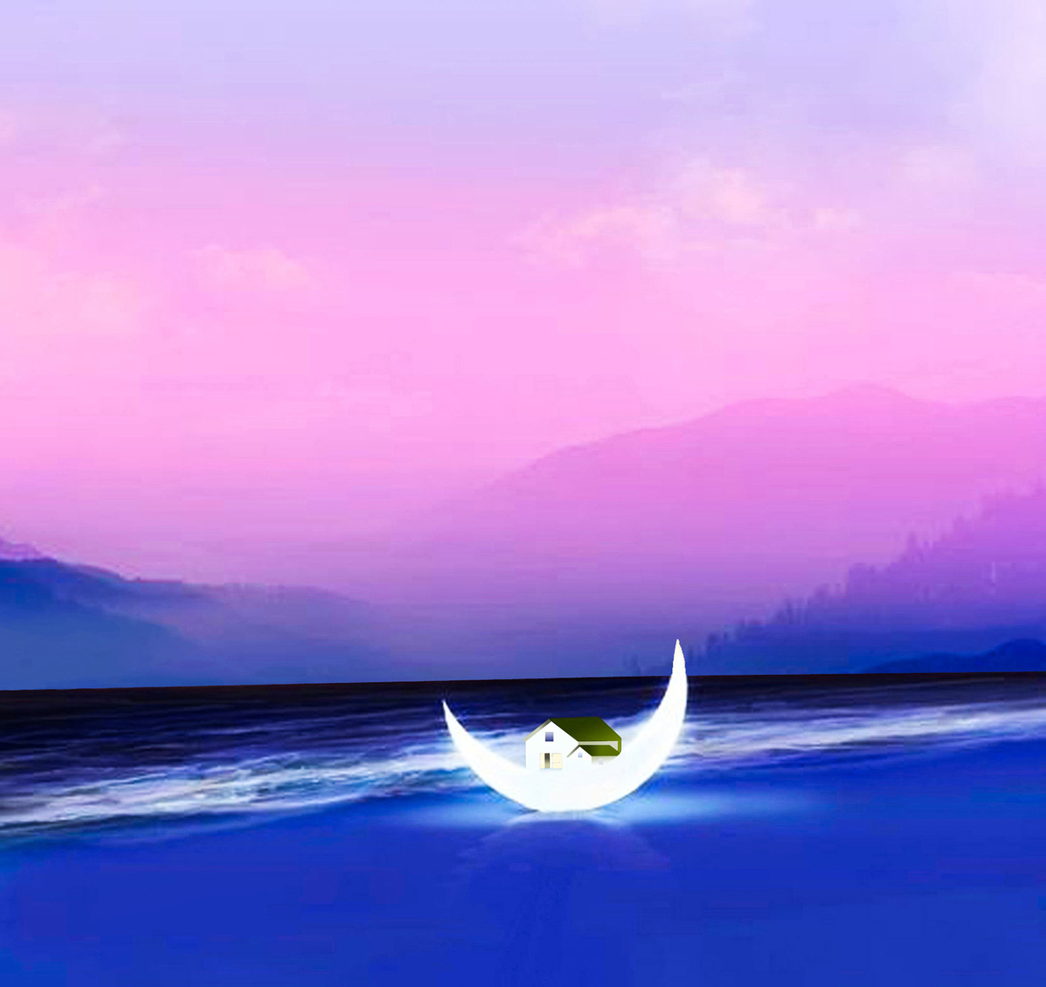 Home on the moon #195