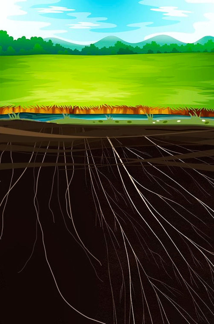 Circulation in the Landscape #207