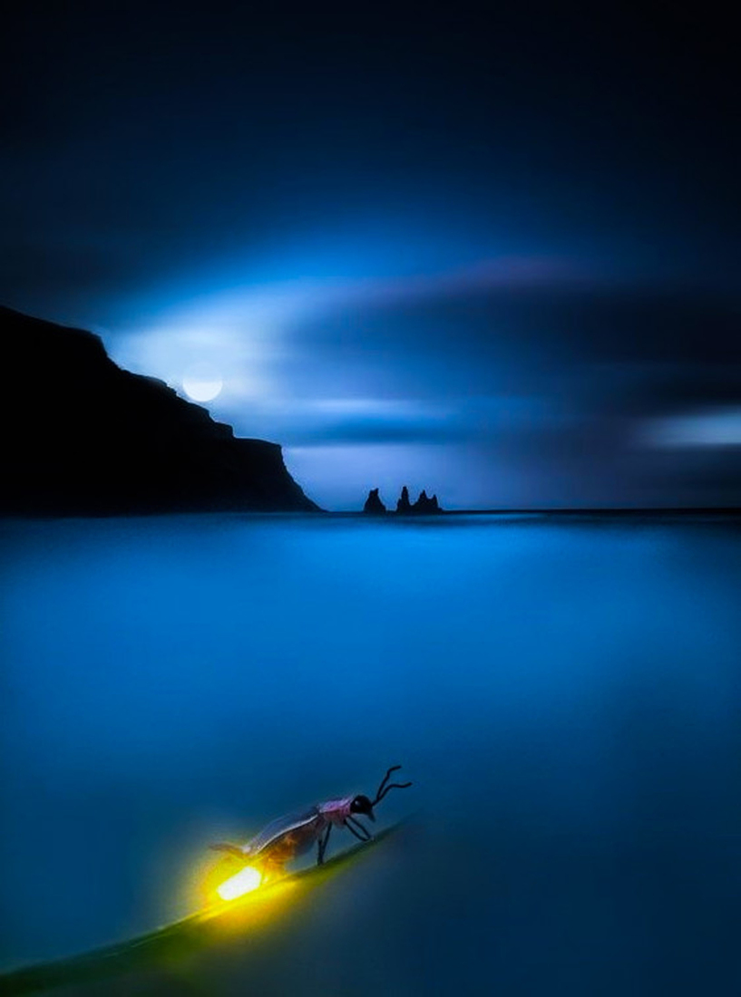 Landscape Lights #119