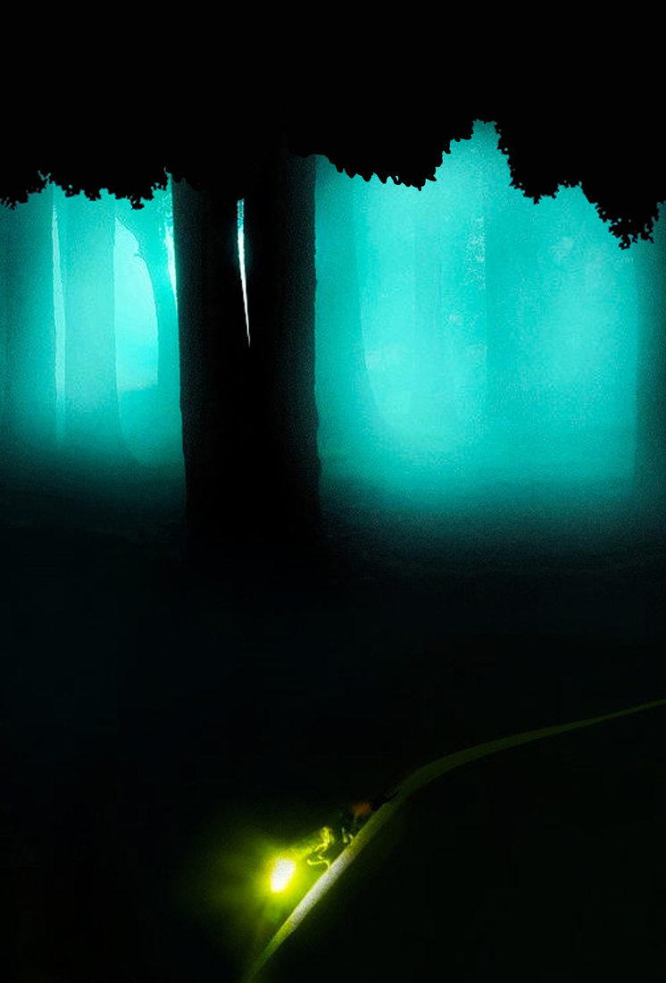 Nature’s Night Lights #120