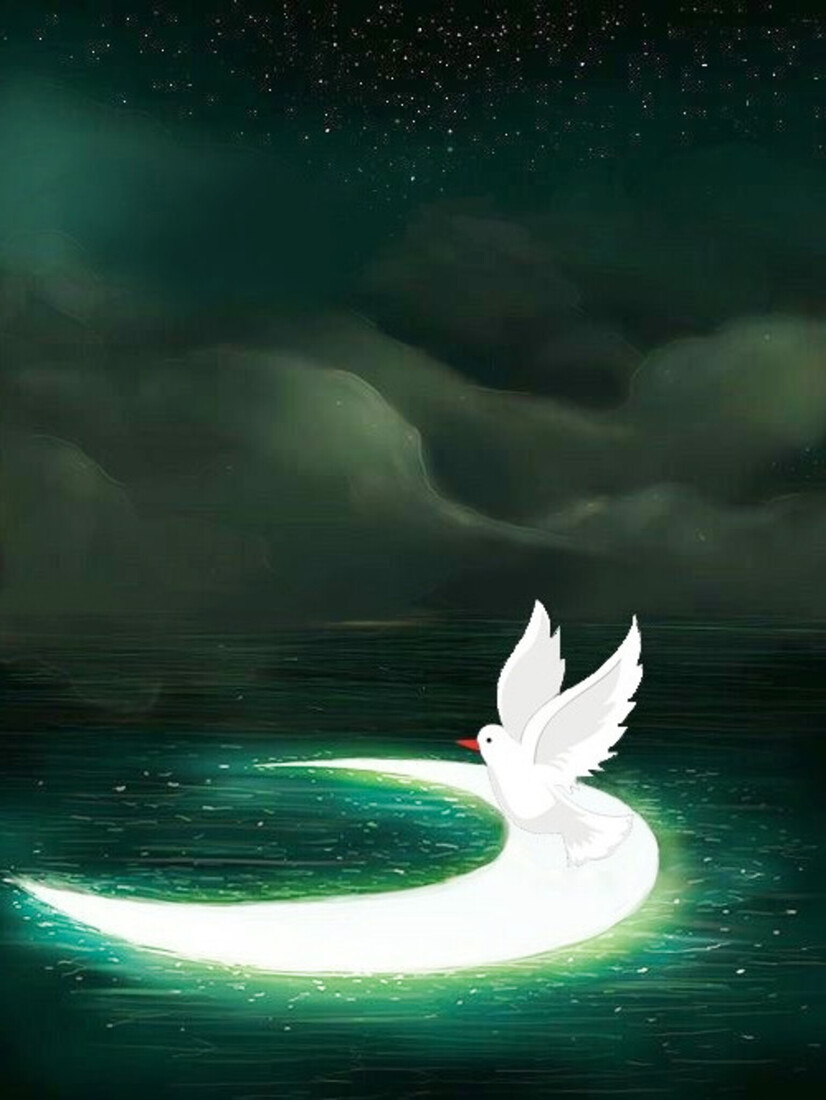 Doves as symbols #152