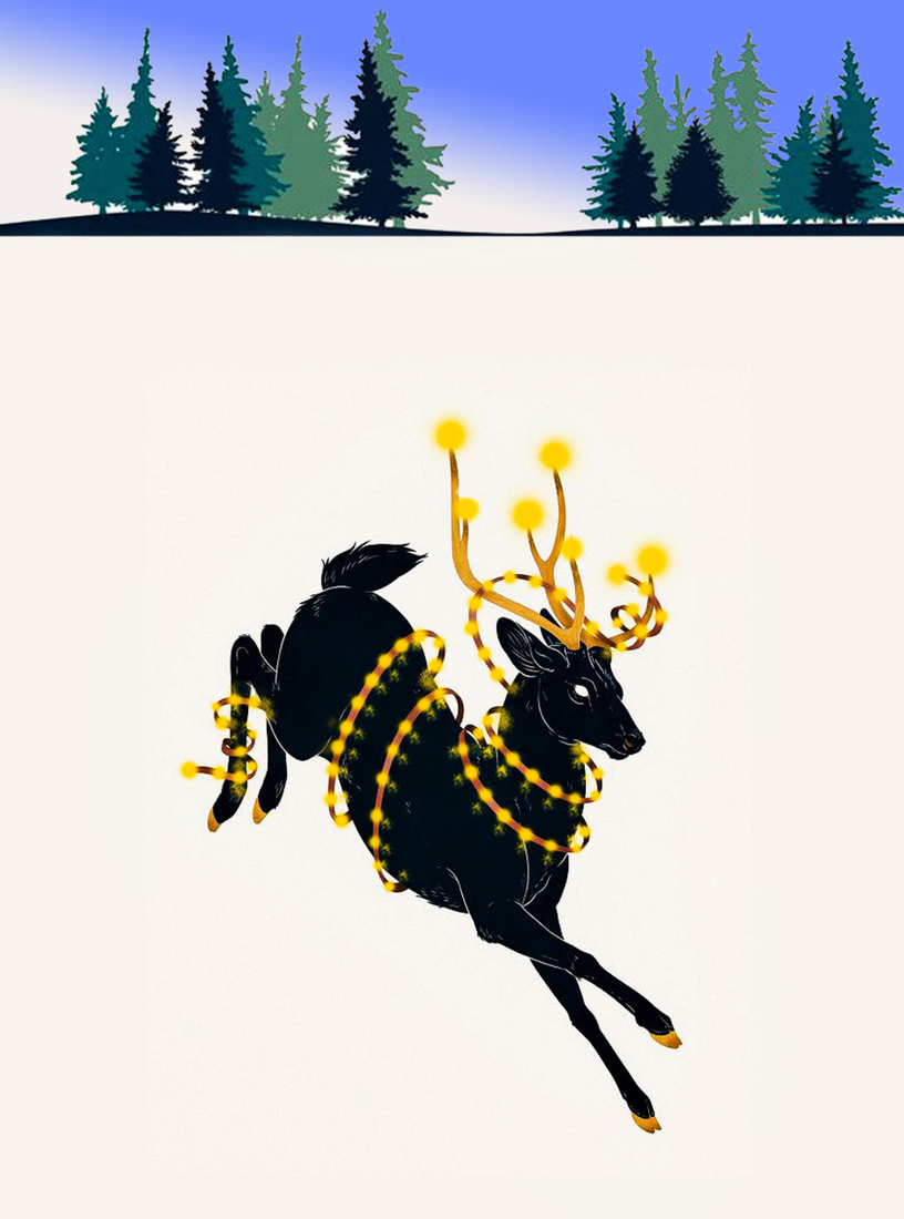 The Orange County Christmas Lights #162