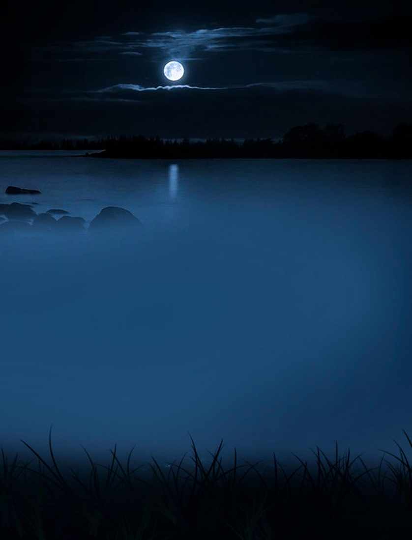 Moonlight Night #141