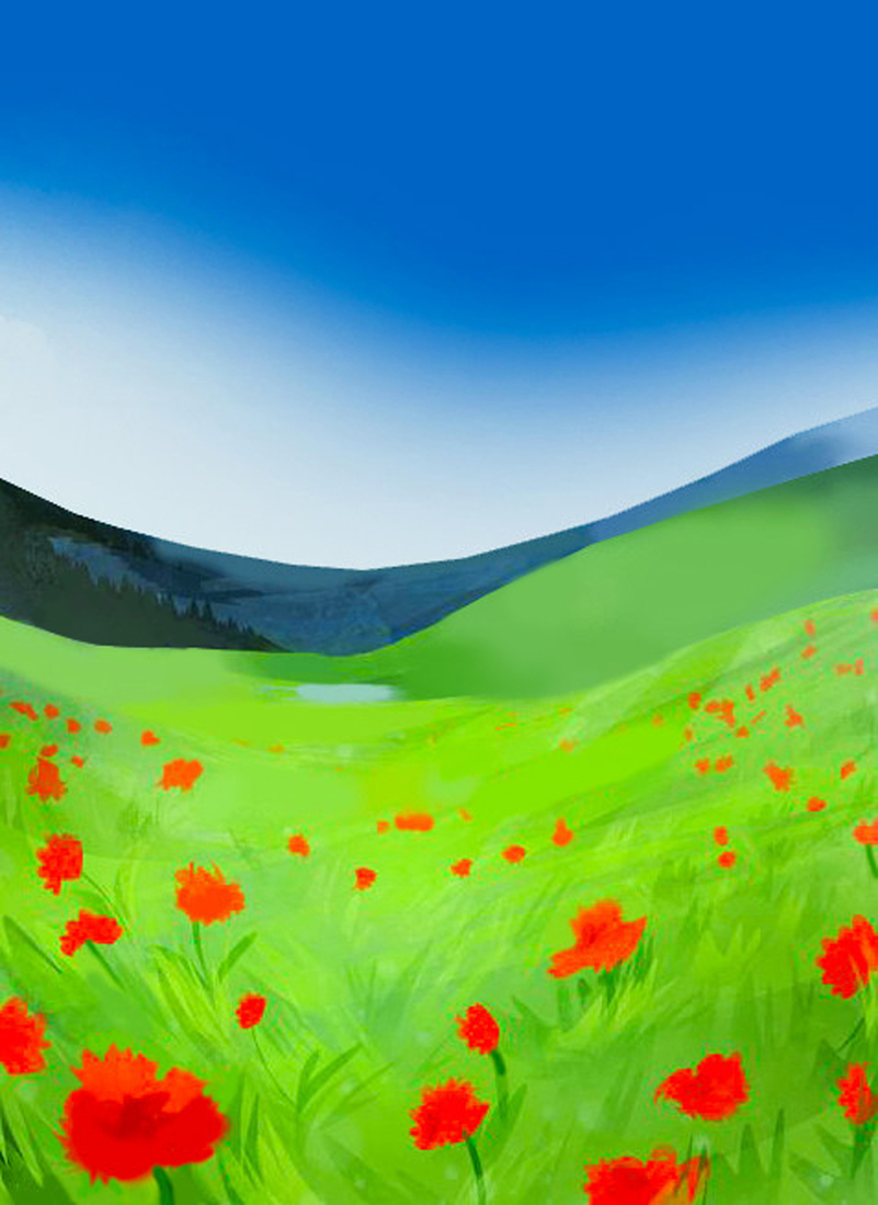 Poppy flowers landscape #173
