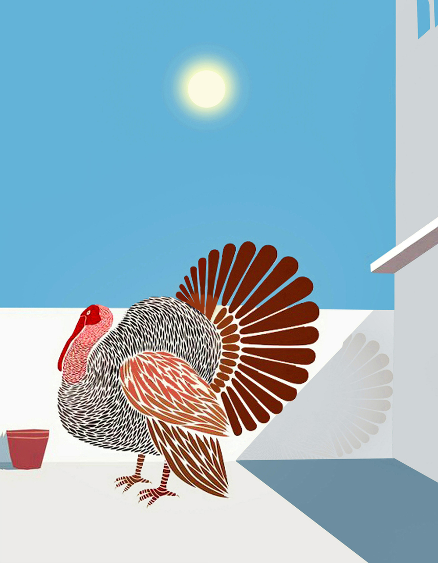 Birding at Home with Sun #190