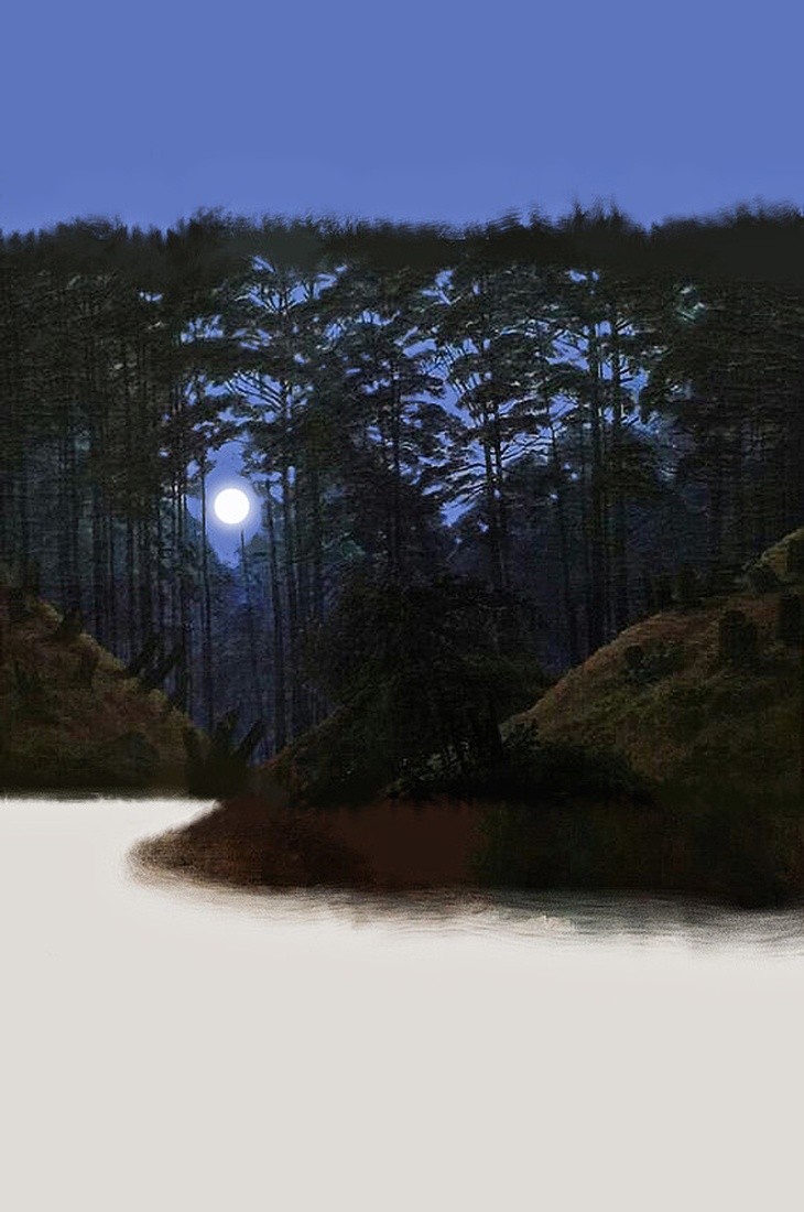 The day after Christmas Moon #115