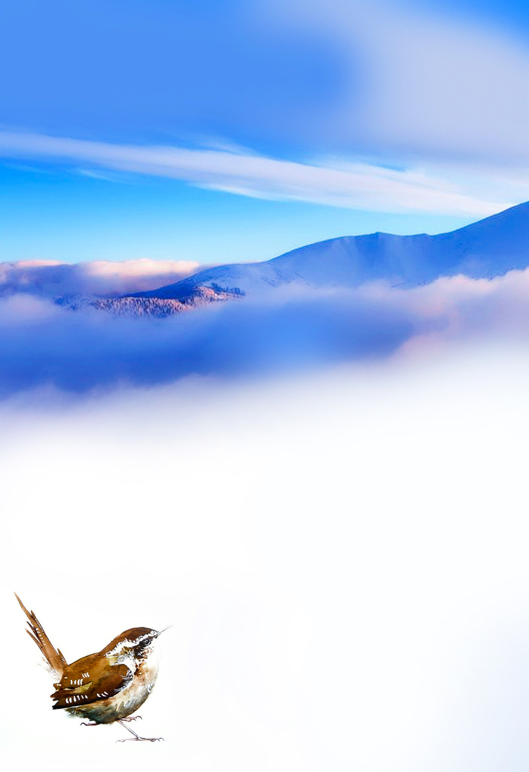 The Nature of Snow #122