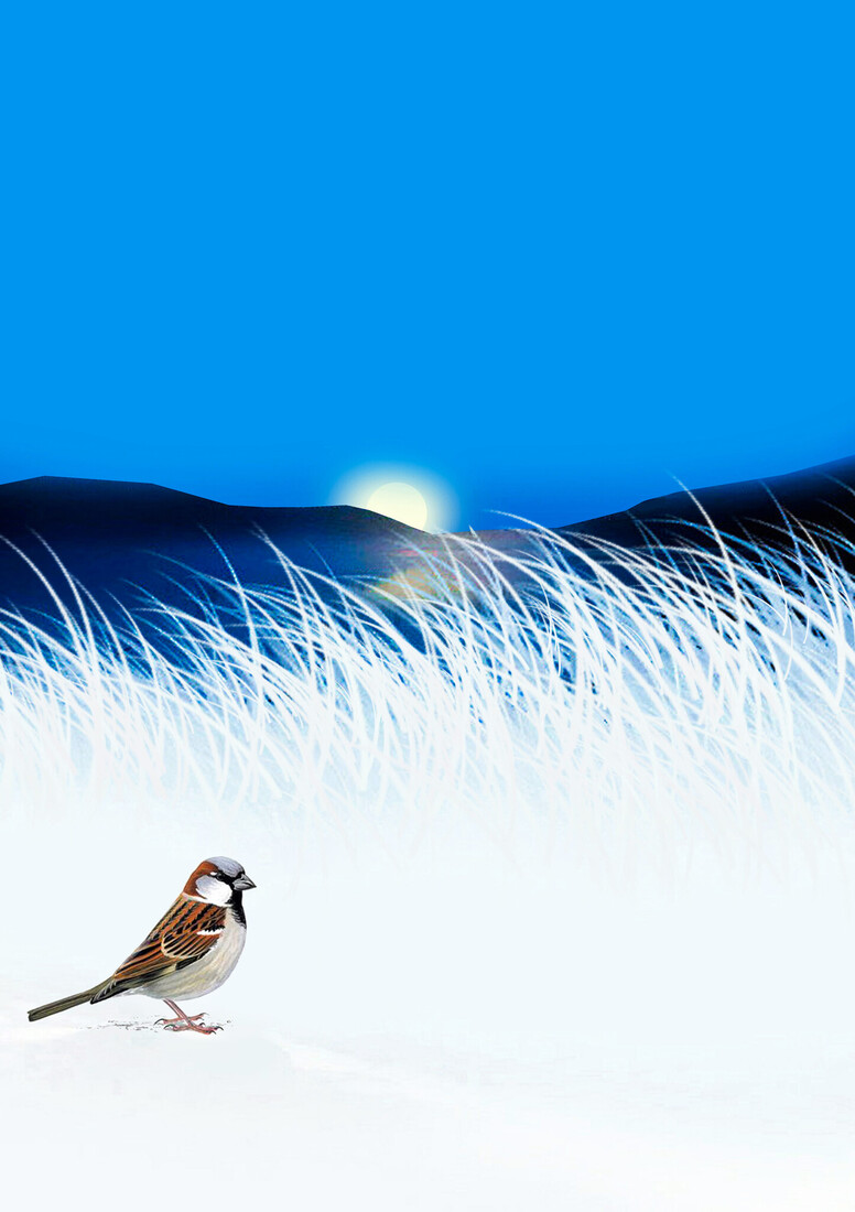 Sparrows in the Snow #123
