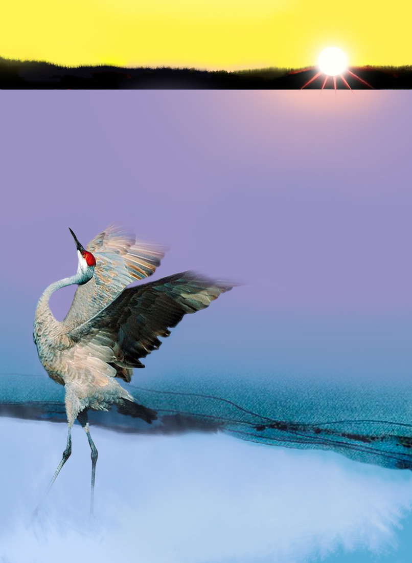 Morning Sun is up #157