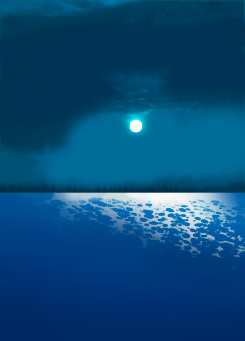 Moonlight on the lake #159