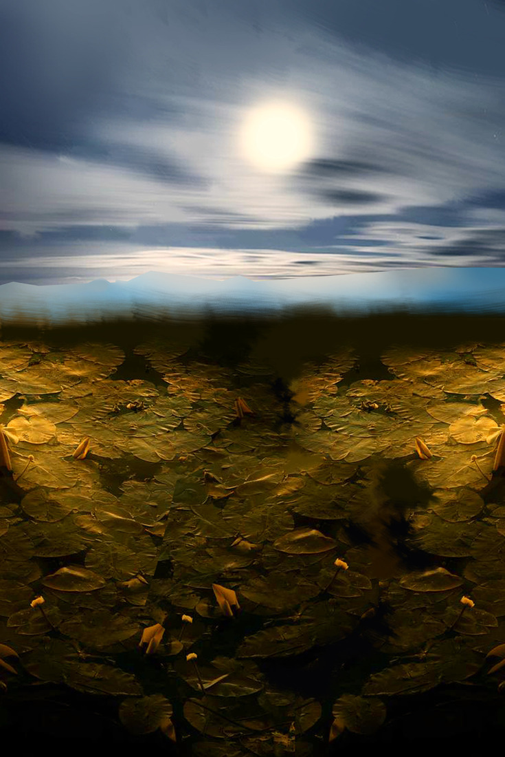 The Nature and Life #162