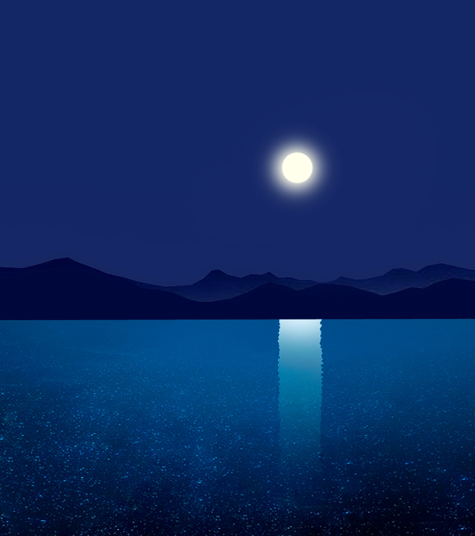 The Light of the Moon #169