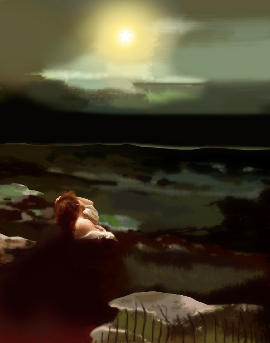 The Star of Christmas #201