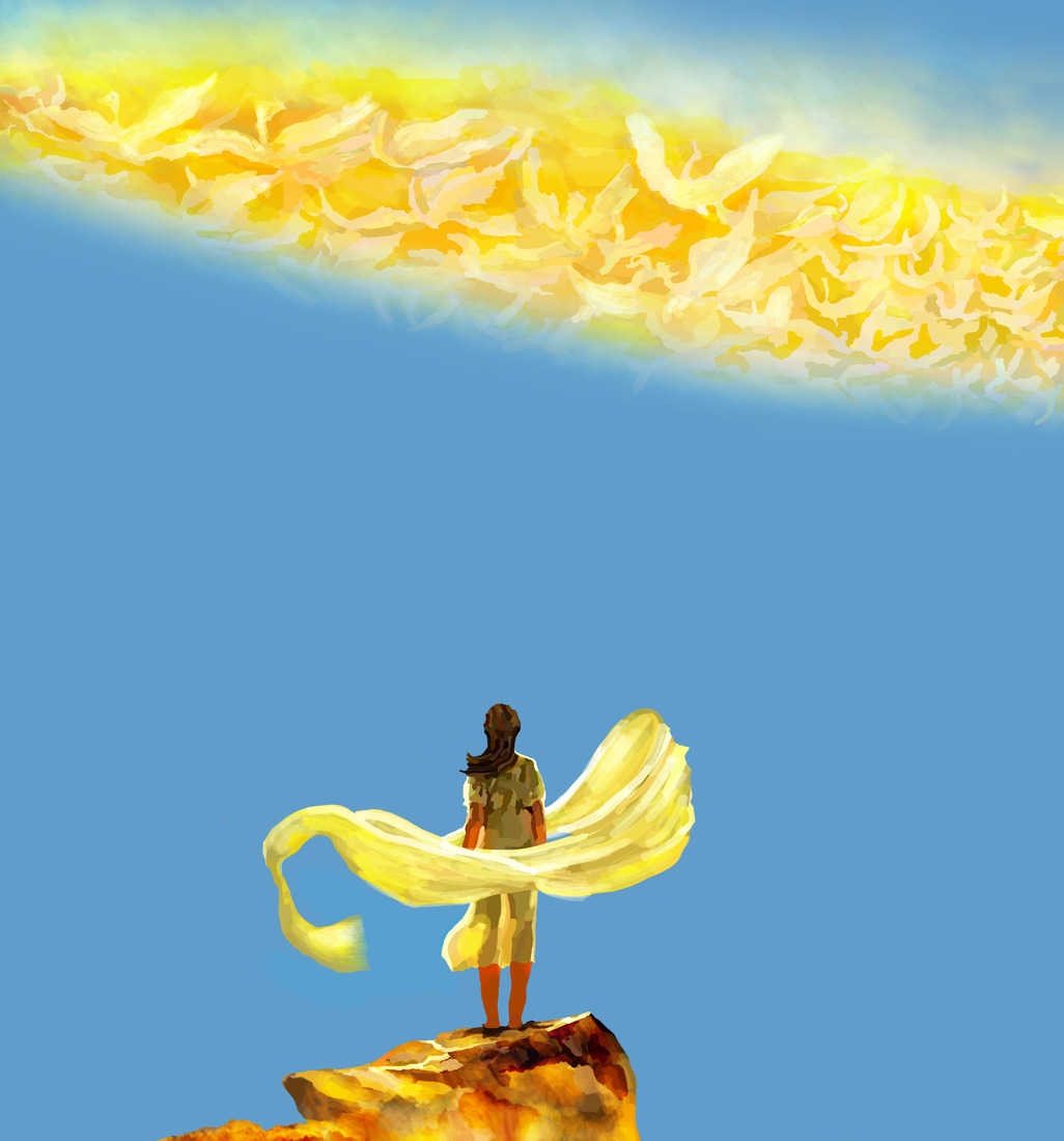 Free Sky with Birds of the nature #305