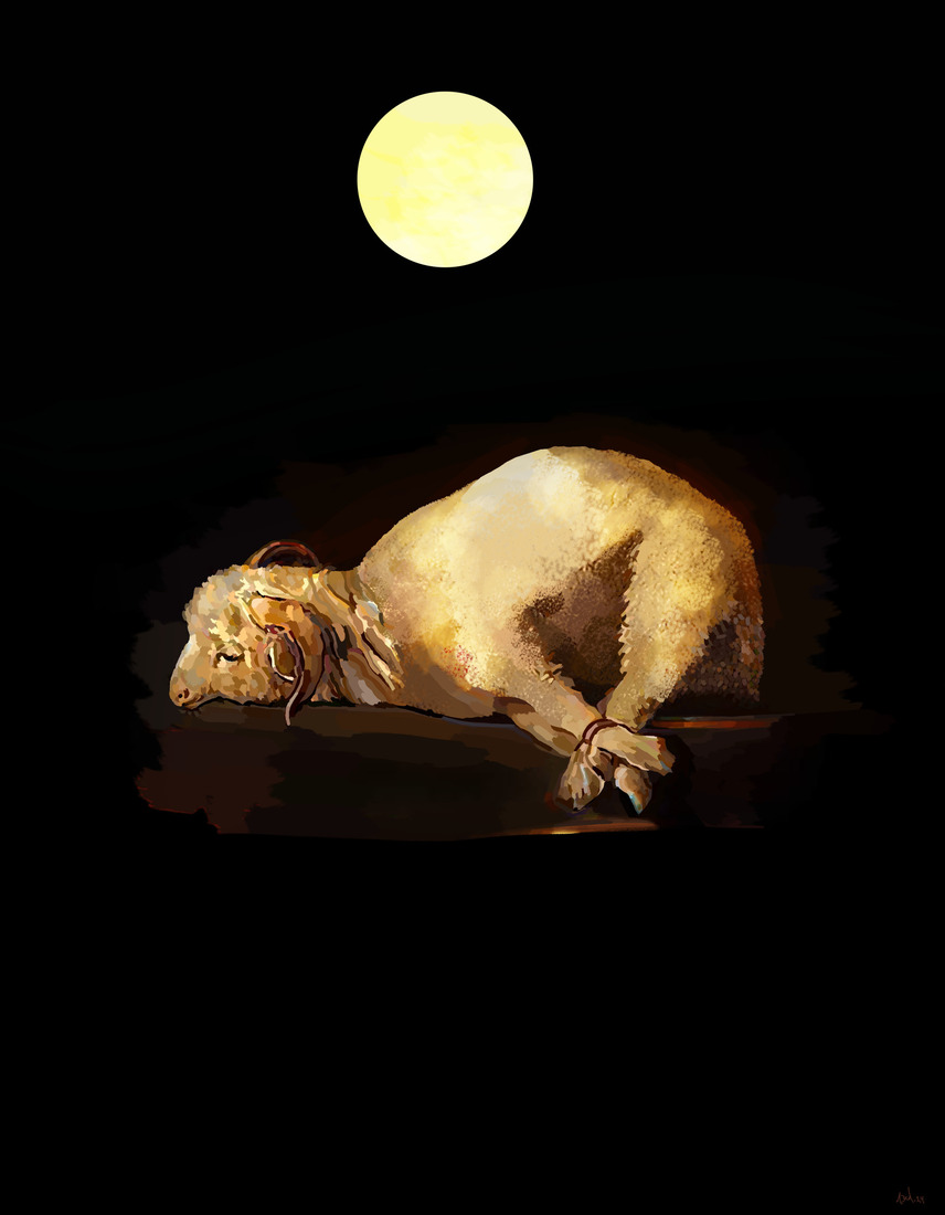 The most precious gift #330