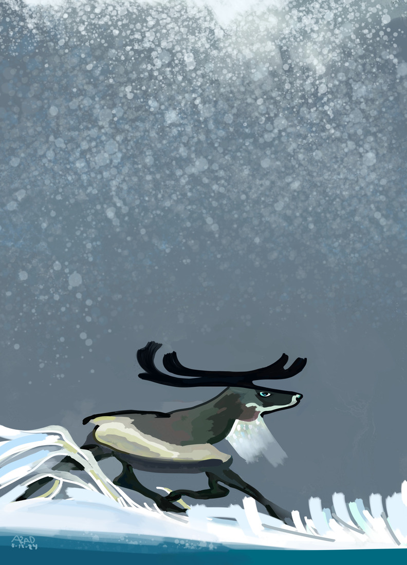 Snow in Finland and the nature #403