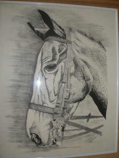 Paardenkop,ook van jou paard