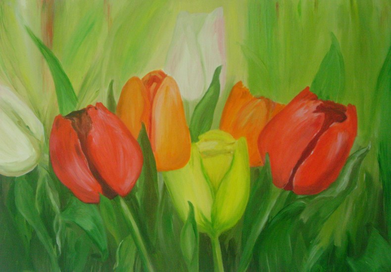 Color Tulip