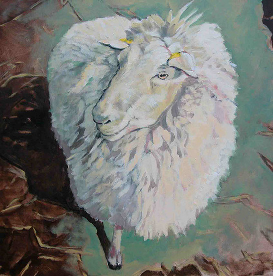 Schaap Veronica