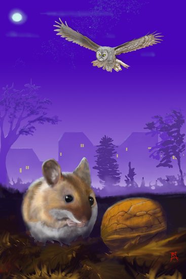 ontmoeting in november