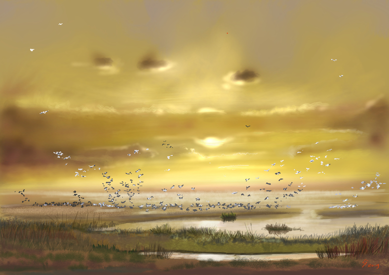 Zonsopkomst over de waddenkust