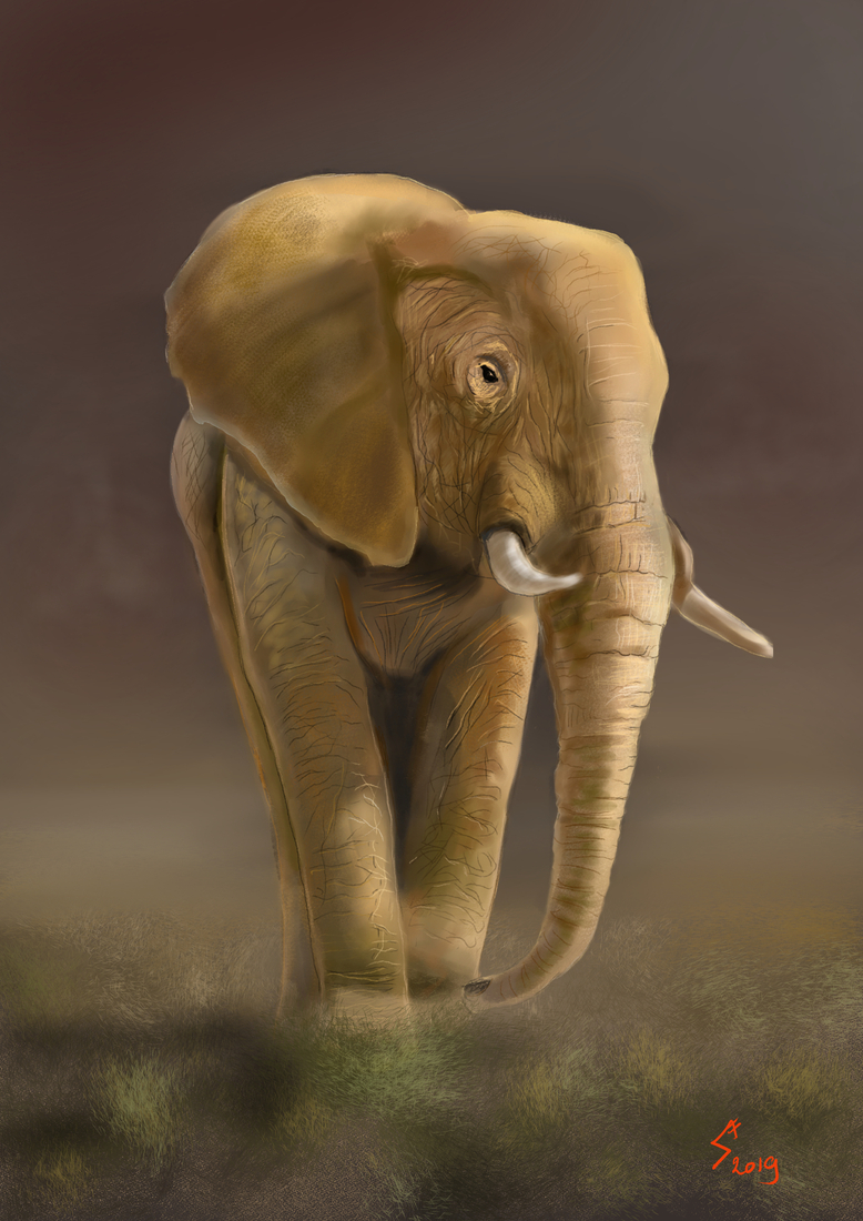 Elephant