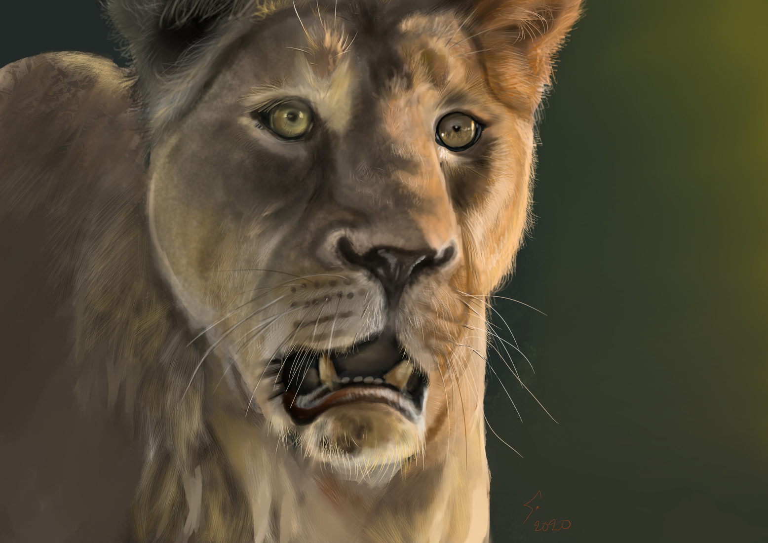 Lioness