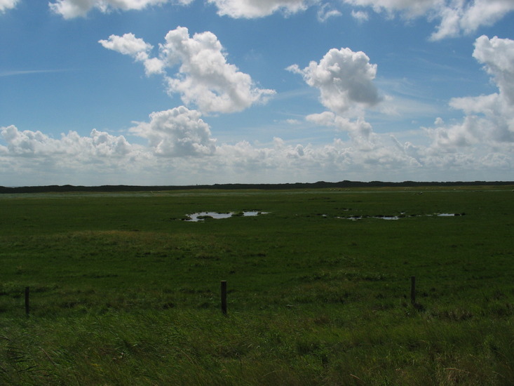 duinlandschap 2