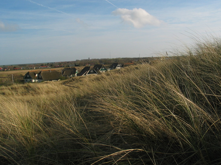 duinen 1