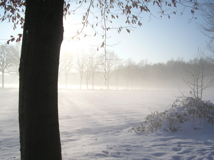 Sneeuw en mist