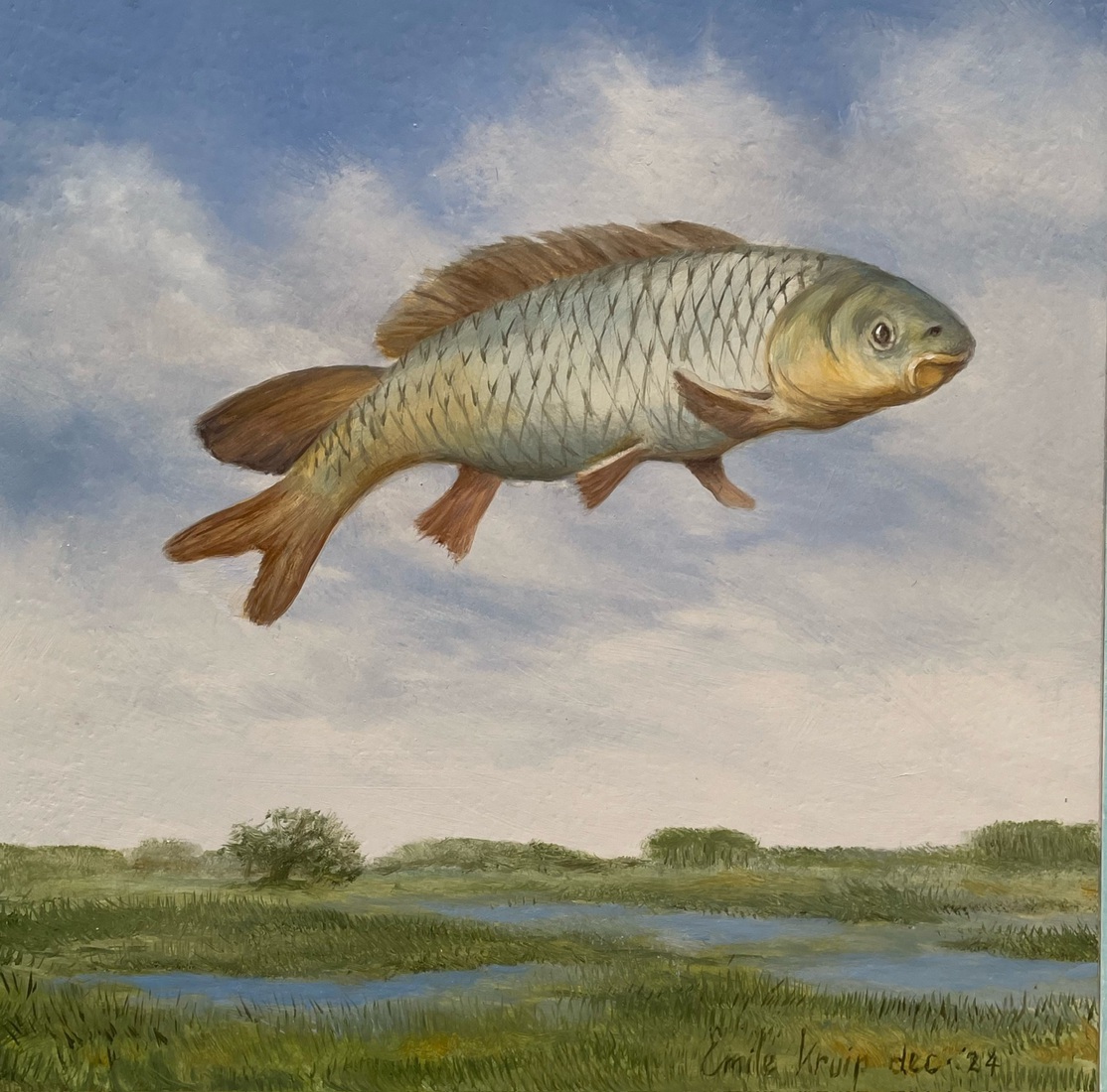 Als een vis in de lucht 