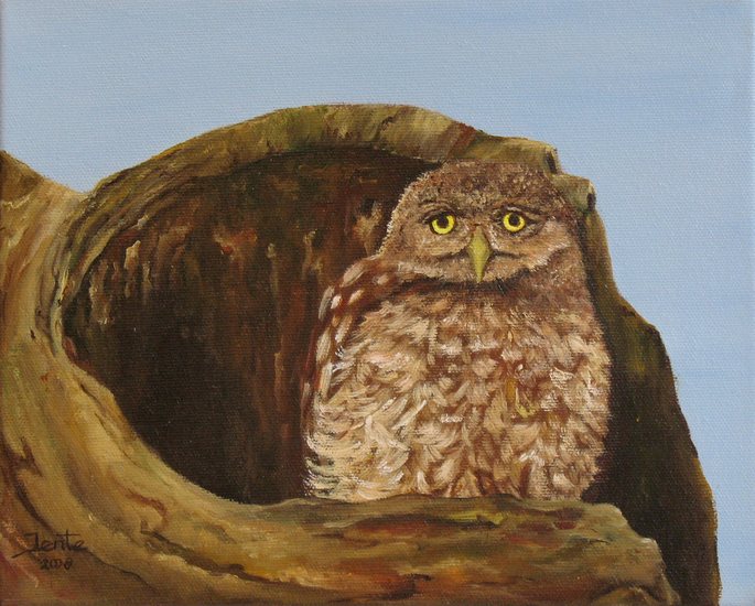 Uiltje in boomstronk