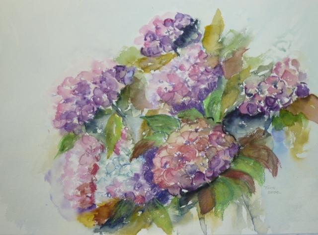 Hortensia's