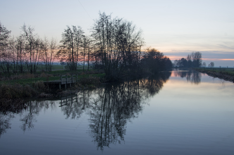 Willeskop