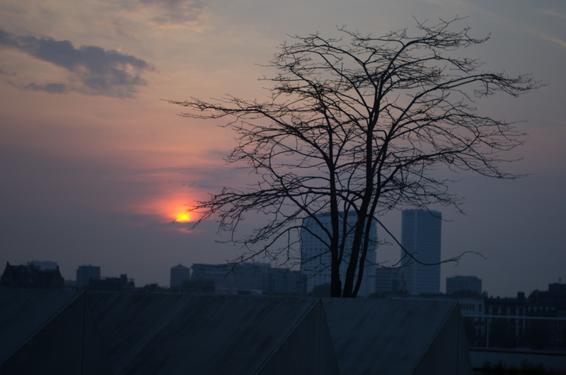 Rotterdam