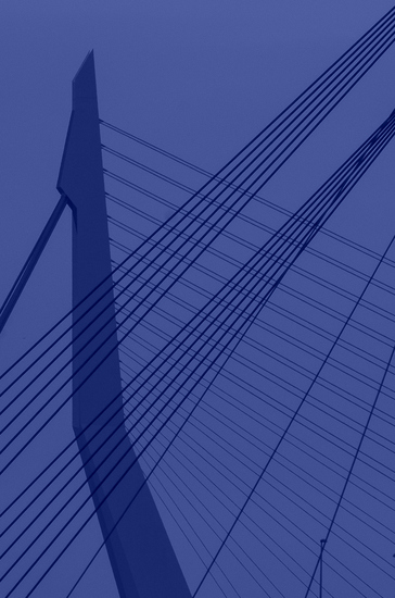 Erasmusbrug gevangen