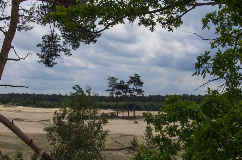 Veluwe