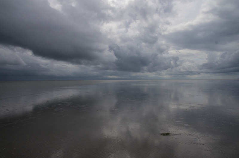 wadden