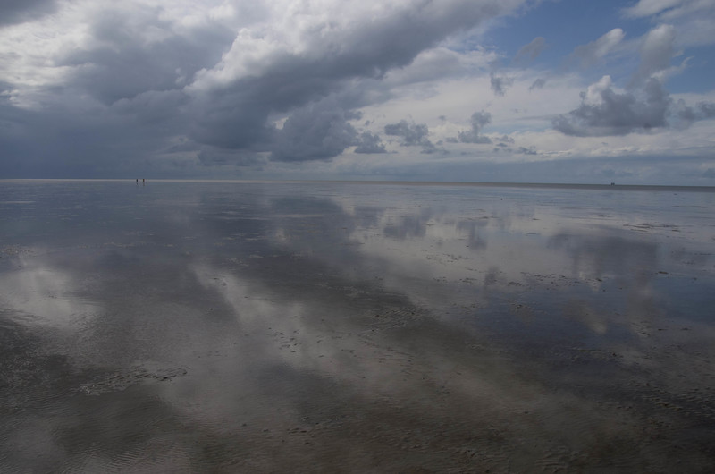 wadden