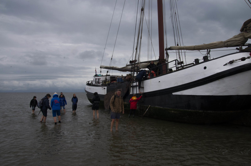 wadden