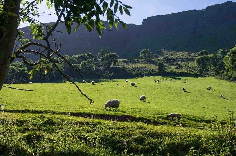 N. Ierland