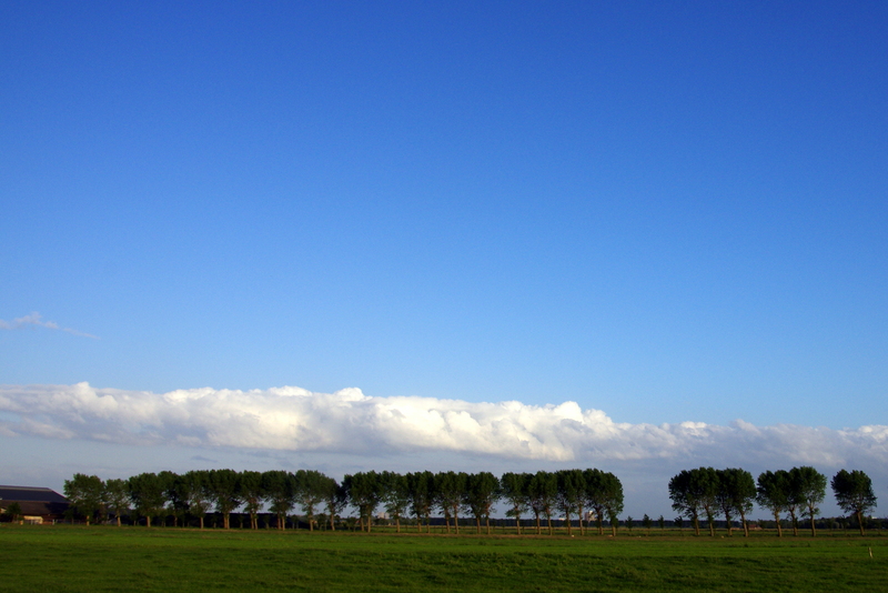 Landschap tegen de avond
