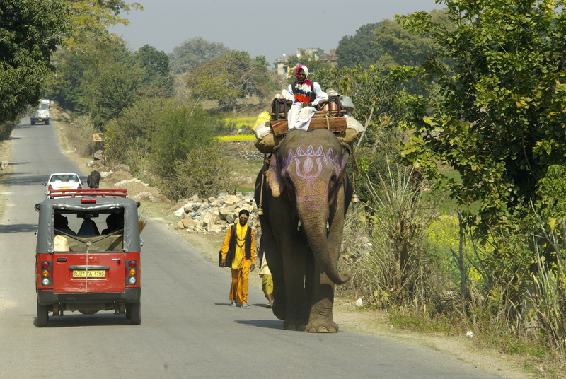 Olifant